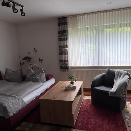 Klingelhoefer Apartment Willingen (Upland)